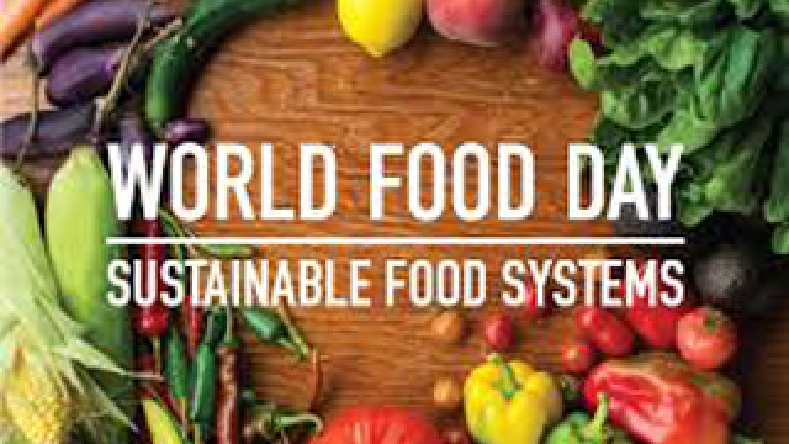 World Food Day marked in Quang Ninh