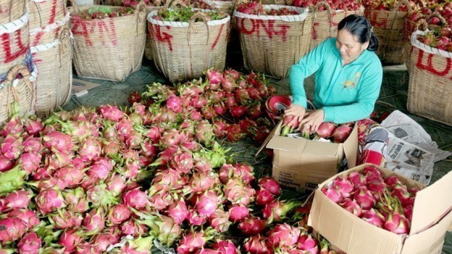 
        Food safety crucial for Vietnamese produce’s reputation abroad
                              