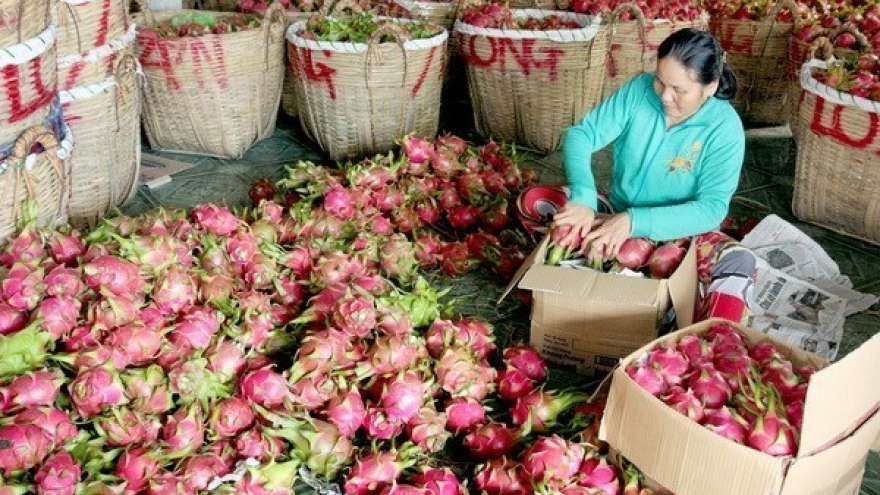 Food safety crucial for Vietnamese produce’s reputation abroad
