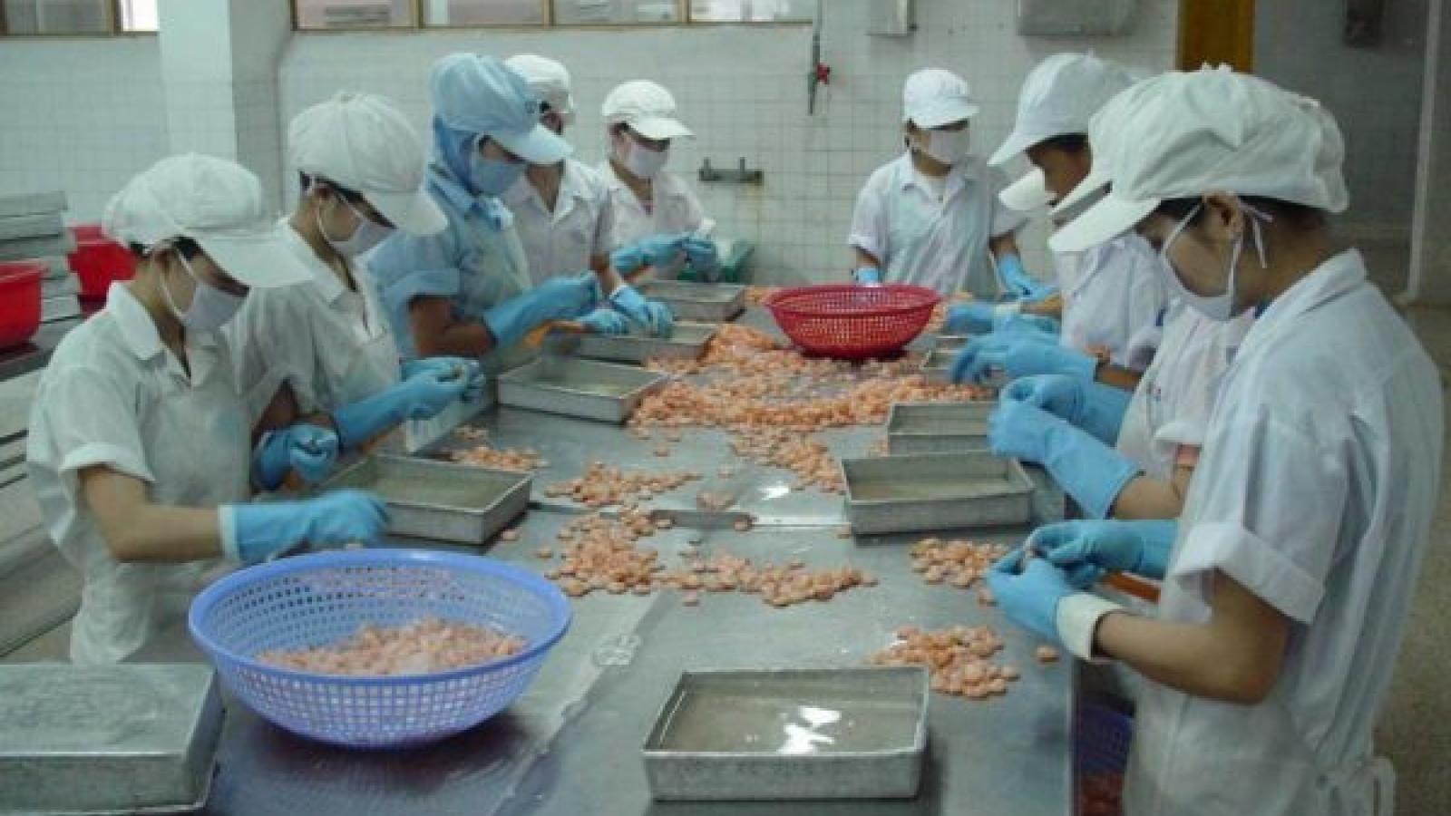 Food processing industry has ample space for development