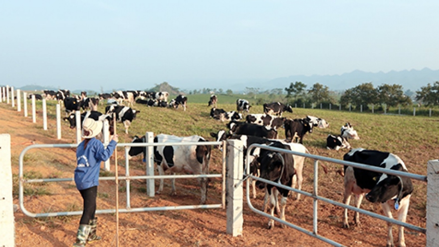 Foreign funds to shed GTN shares, paving way for Vinamilk's acquisition