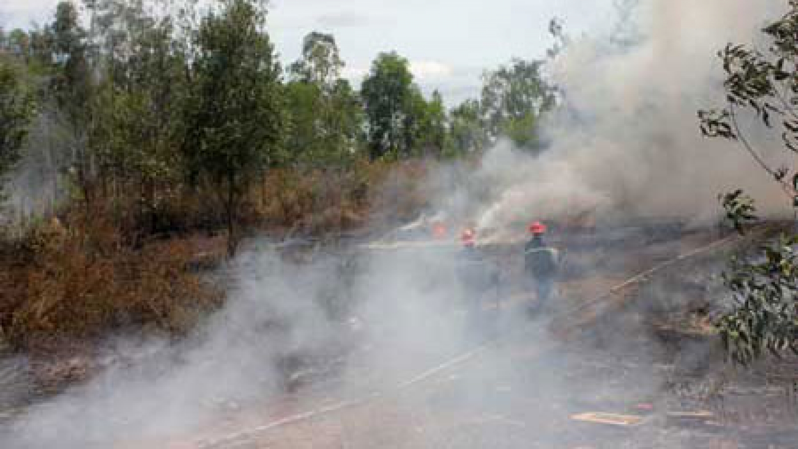 Thousands mobilised to put out Danang forest fire