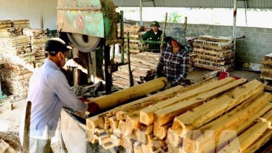 Forestry exports jump nearly 20 percent in year’s first half