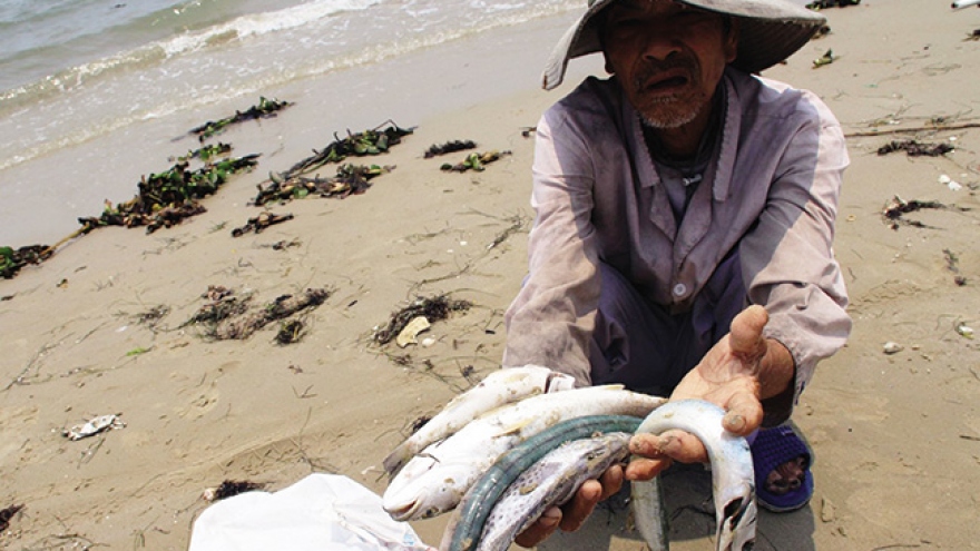
        Businesses learn lessons from Formosa scandal
                              