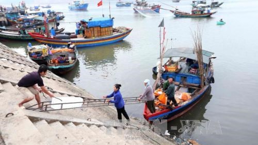 Ha Tinh to complete marine environment incident compensation in June