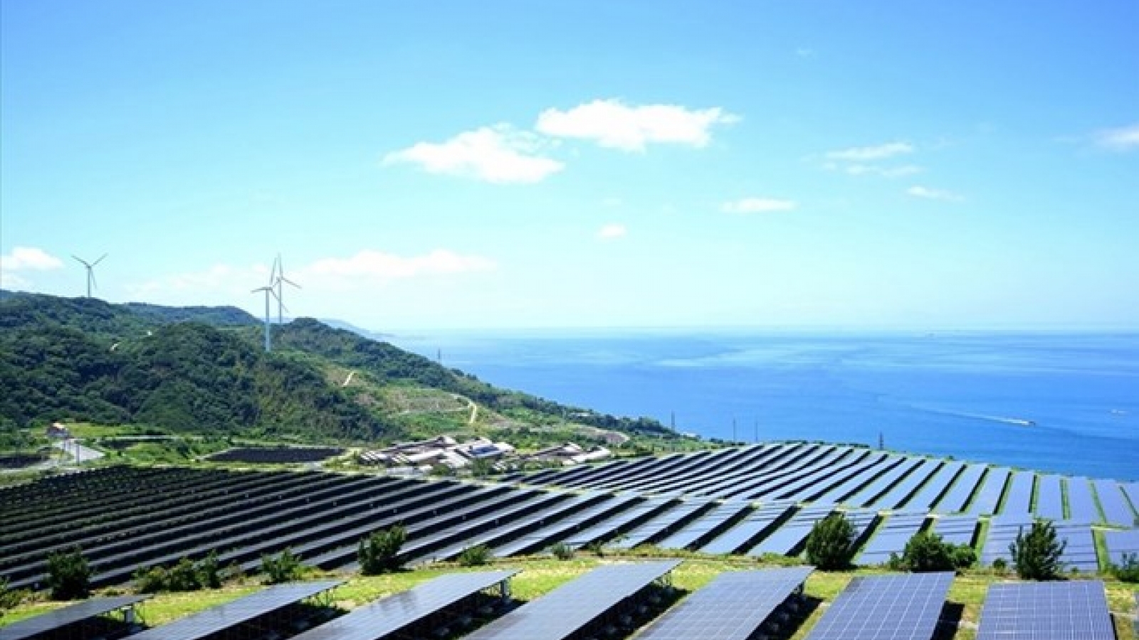 Forum to bolster Vietnam- RoK technology transfer, cooperation