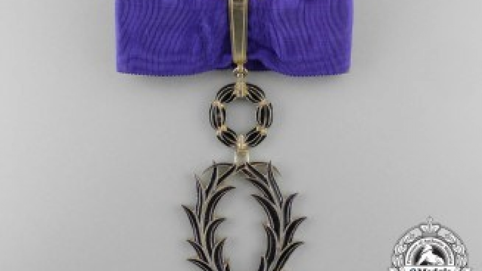 Vietnamese individuals honoured with French Order of Academic Palms