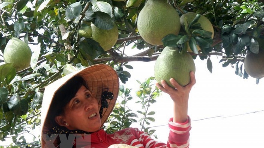 Fruit, veggie exports likely to hit US$3.8 billion