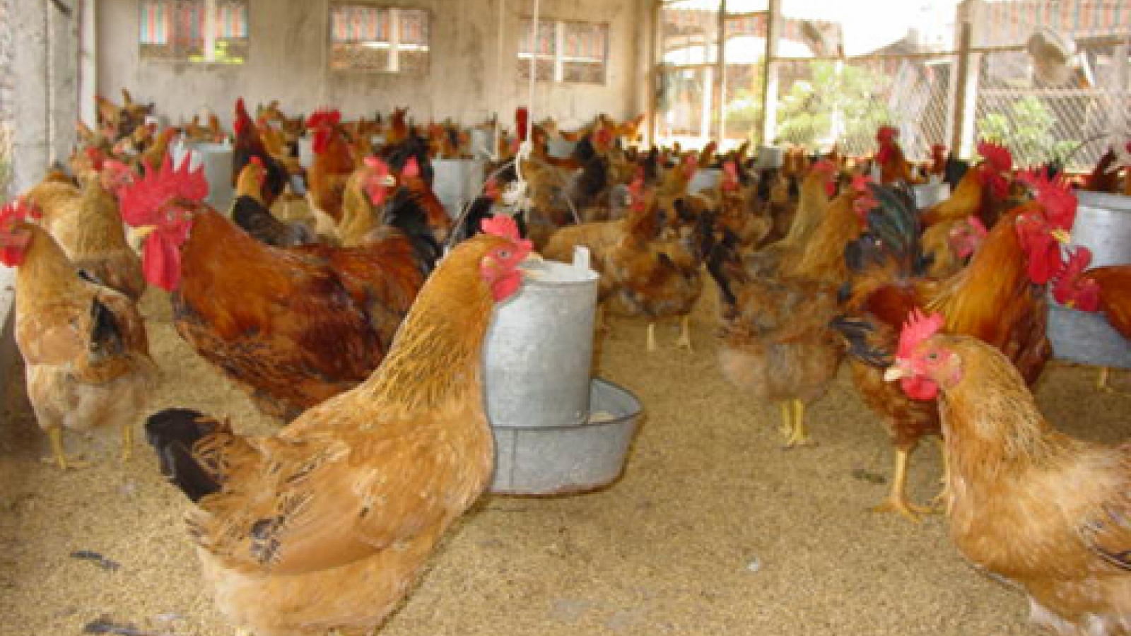 Seminar improves hygiene safety for animal husbandry 