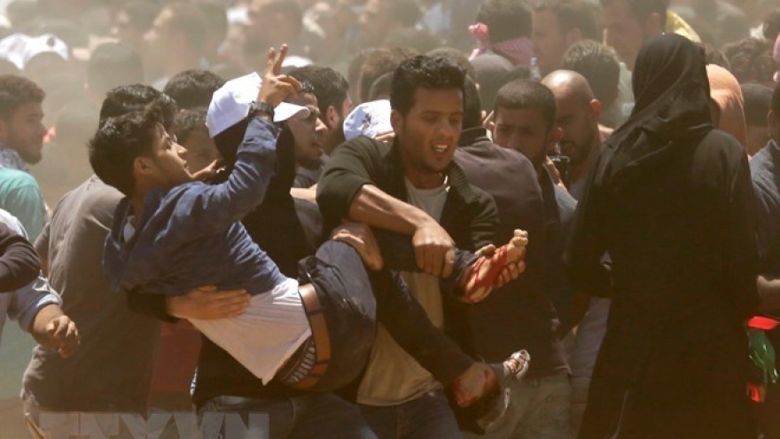 Condolences to Palestine over casualties in Gaza Strip conflict
