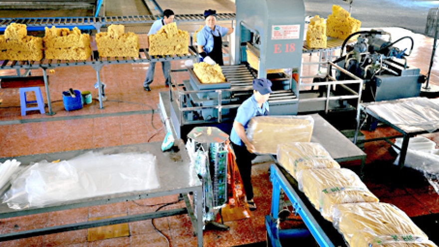 Gia Lai businesses granted 23 overseas investment licences