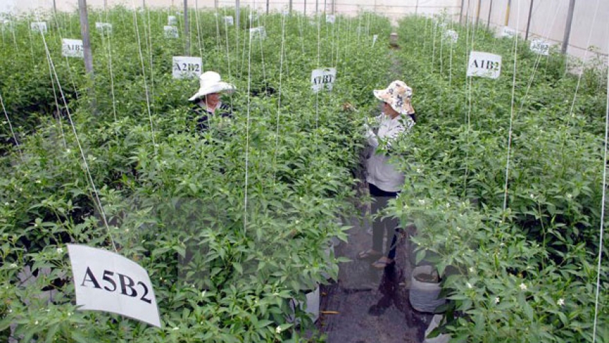 Vietnam promotes investment, tourism in Japan