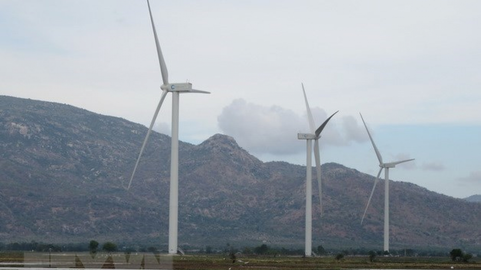 Green economy breeds sustainable development