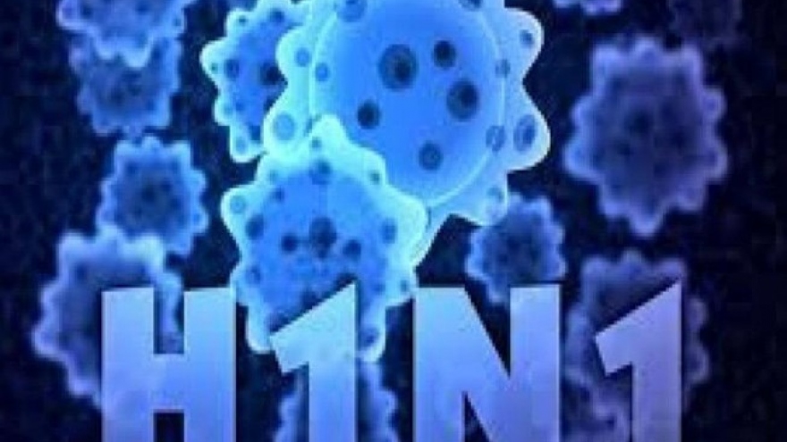 Ca Mau: one patient has died of A/H1N1 flu