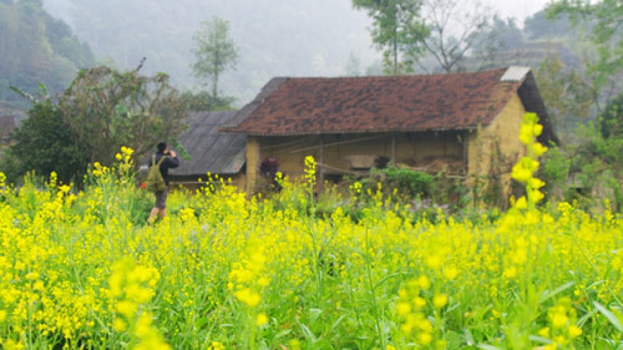 Spring pictures of Ha Giang