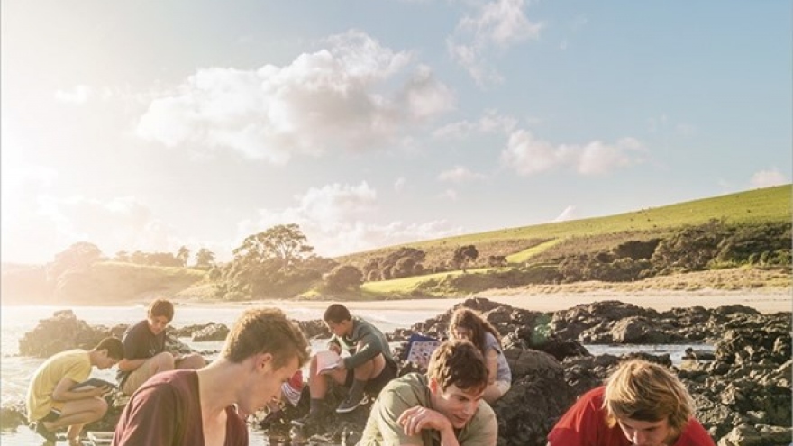 More Vietnamese studying in New Zealand