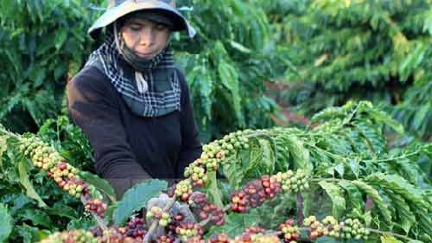 HCM City’s businesses invest VND68 trillion in Central Highlands