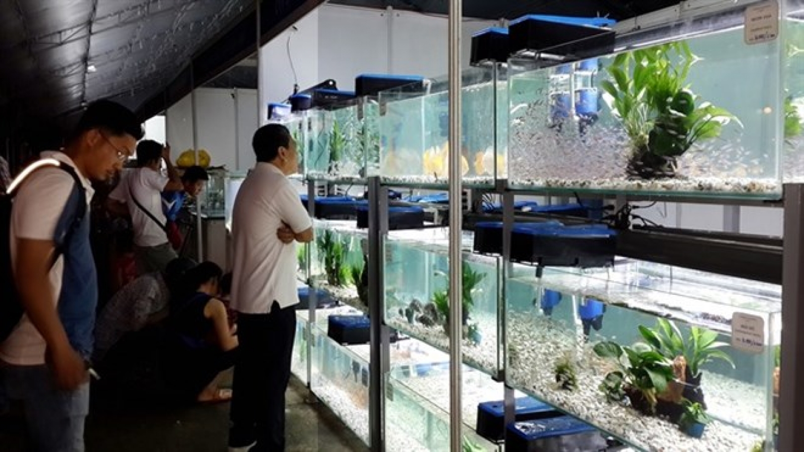 High-tech agriculture fair opens in HCM City