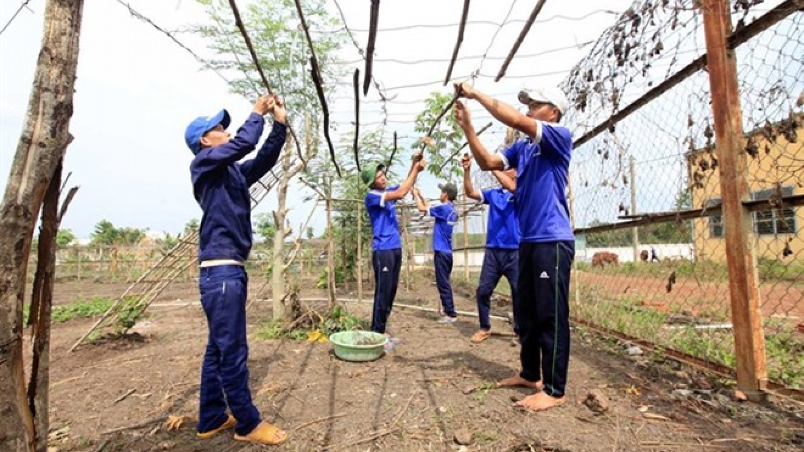 Vietnam aims to treat HIV, halt drug rise
