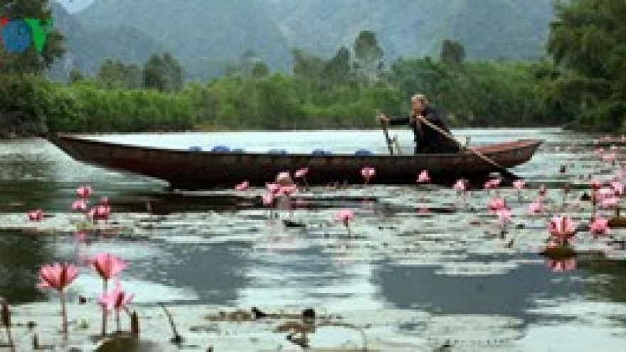 Water Lilies blossoming in cold weather