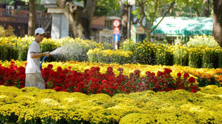 HCM City ready to blossom for Tet