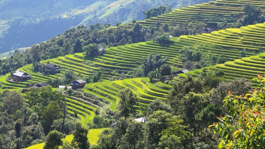 Lyrical rice terraced landscapes of Hoang Su Phi