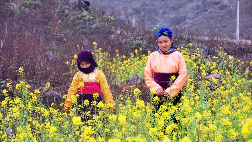 Top ten things to do in Ha Giang