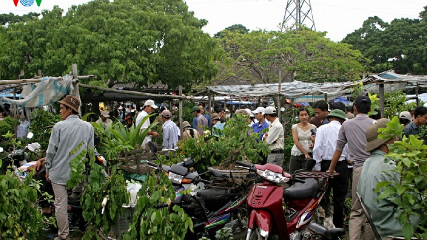 Hang Market features unique daily life of Haiphong people