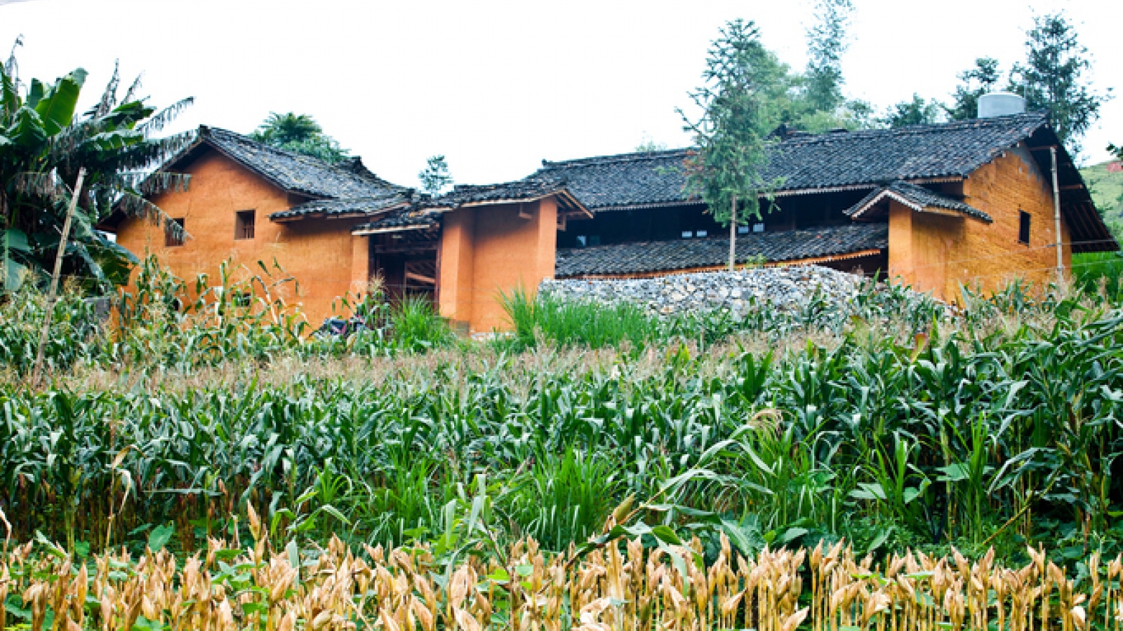 Beautiful homestays in northern Ha Giang province