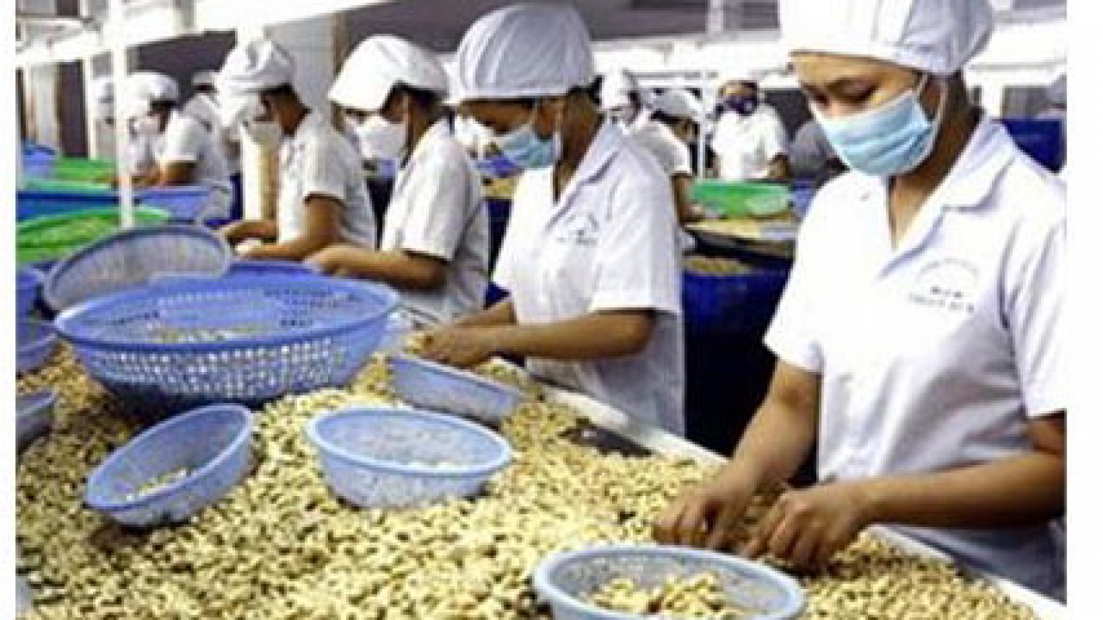Vietnam, Netherlands launch cooperation projects 