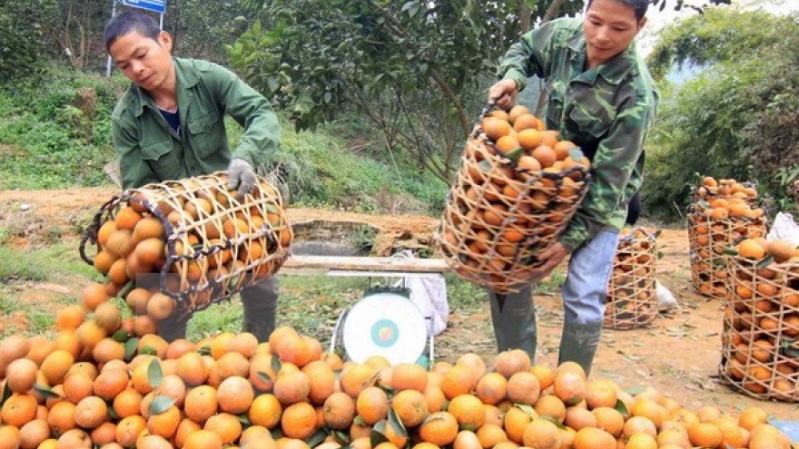 Agricultural trade fair to take place in Hanoi