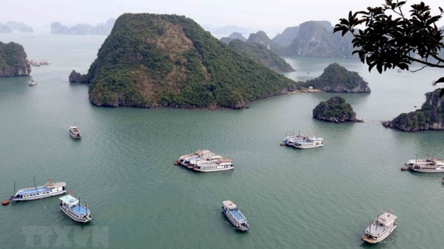 Quang Ninh looks to optimise sea tourism potential