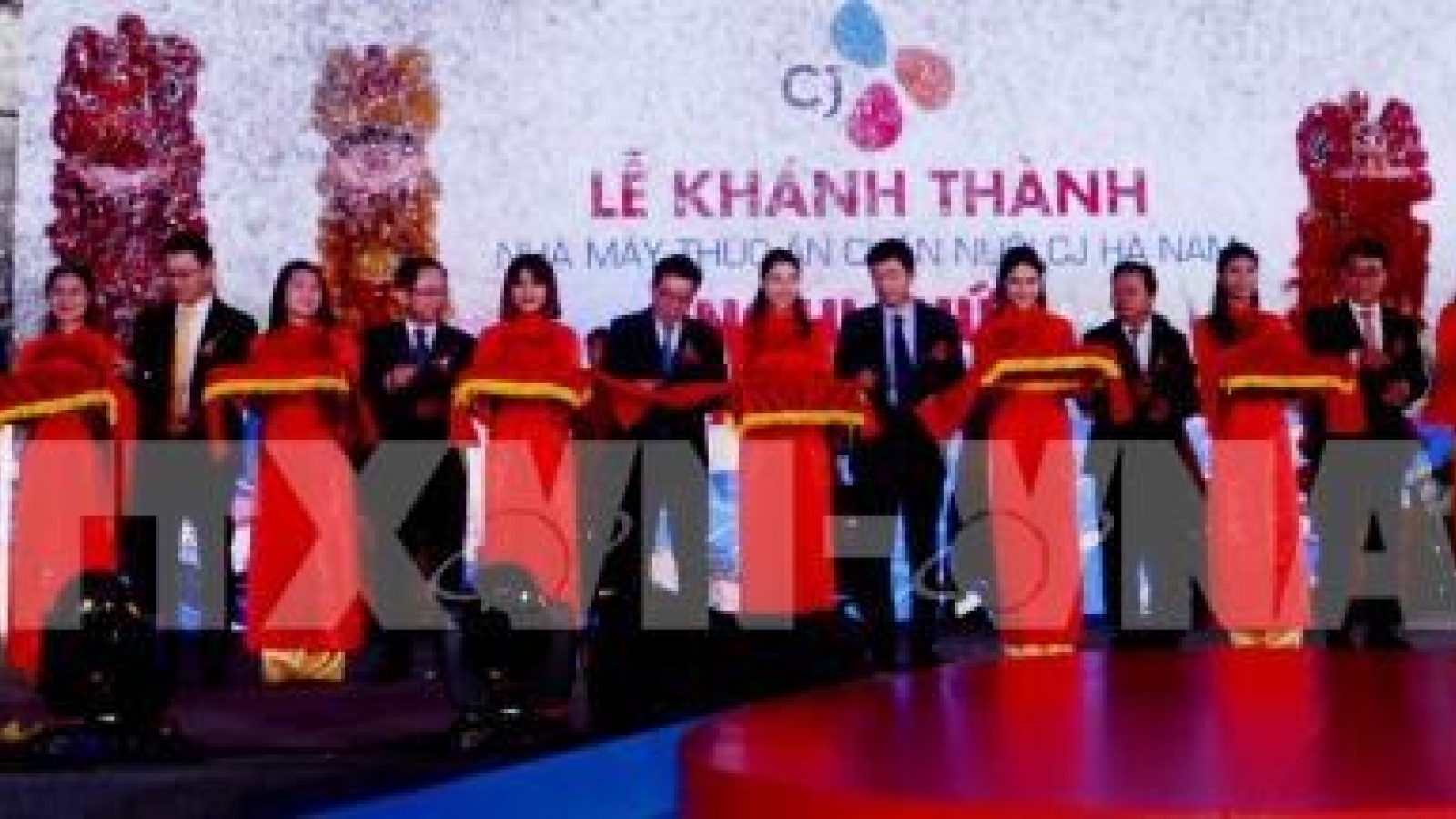Korean delegation surveys investment climate in Ha Nam