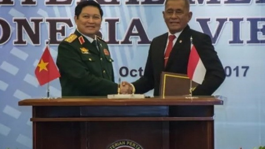 Vietnam, Indonesia look to stronger defence cooperation