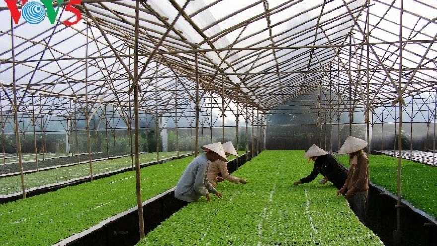 Ha Nam develops smart agriculture