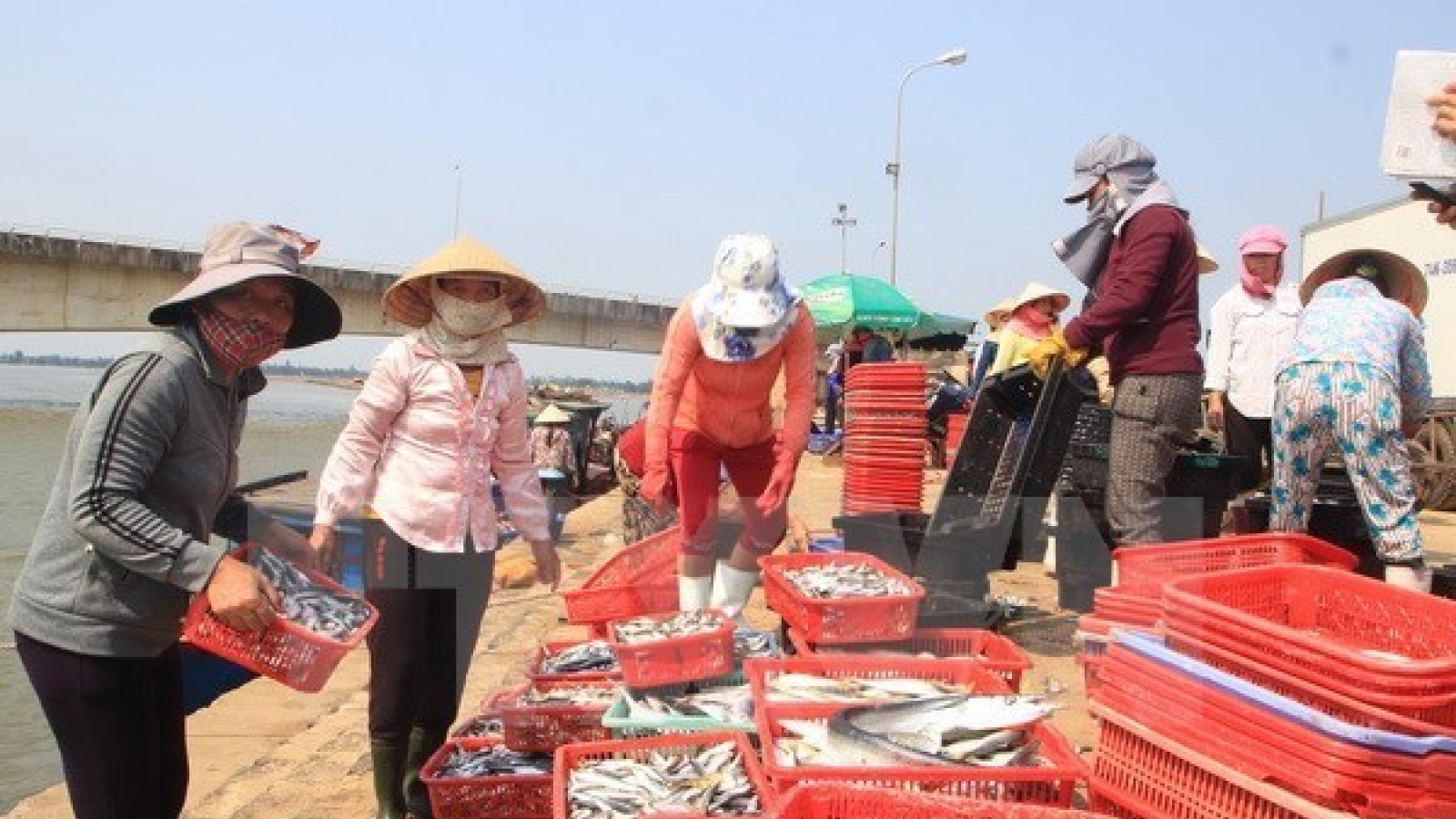 Temporary support for residents hit by mass fish deaths