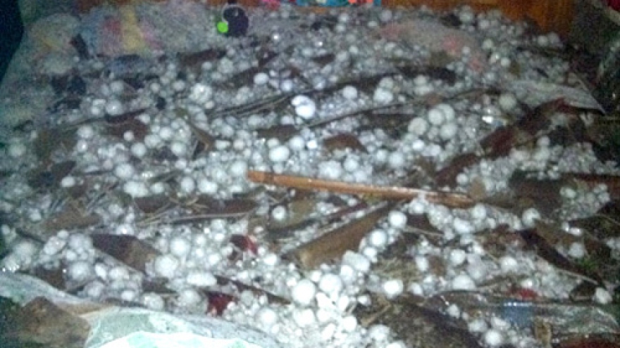 Thousands of houses damaged by hailstorm in Lao Cai