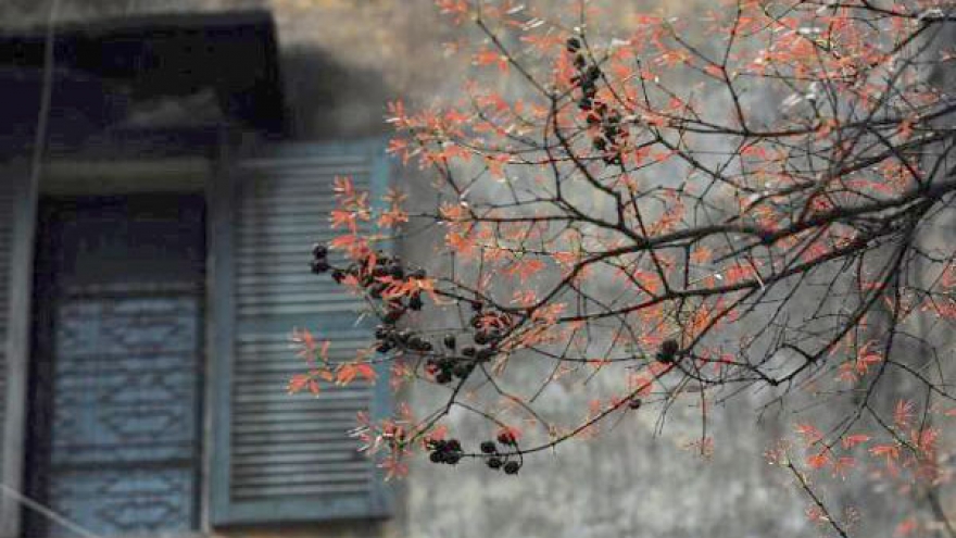 Beyond the chaos, a Hanoi of silence and tranquility