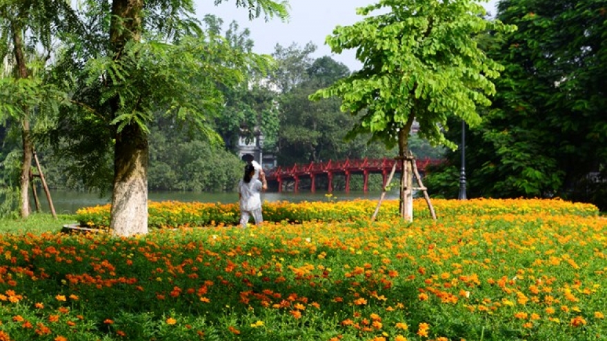 Hanoi’s watercolour autumn foliage