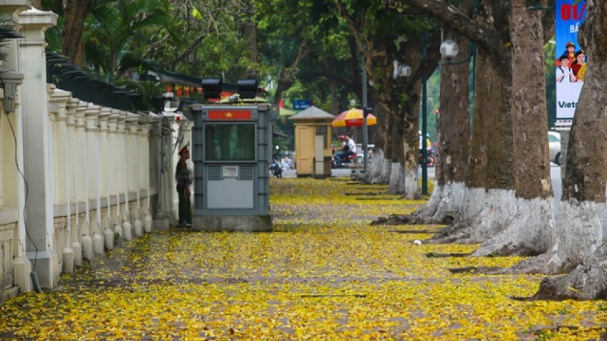 Best places in Hanoi to see spring foliage