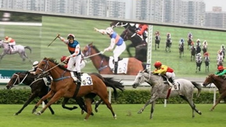 Horse racing course to be built in Hanoi