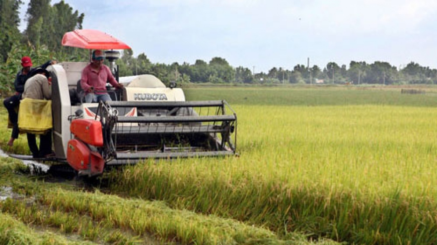 Israel helps Hau Giang develop hi-tech agriculture