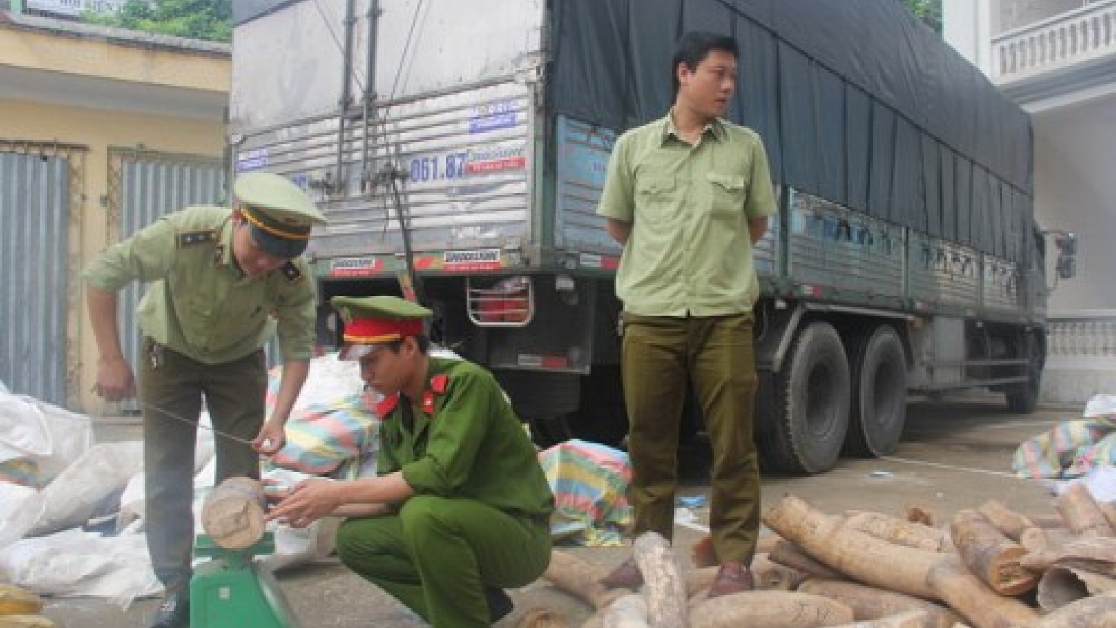 Vietnamese police seize 3 tons of trafficked elephant tusks