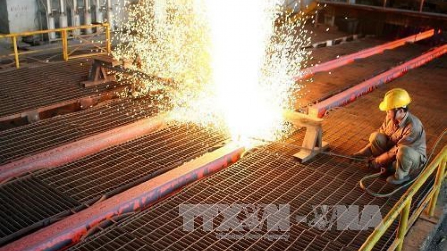 Hoa Phat Group moves to expand market share of steel products
