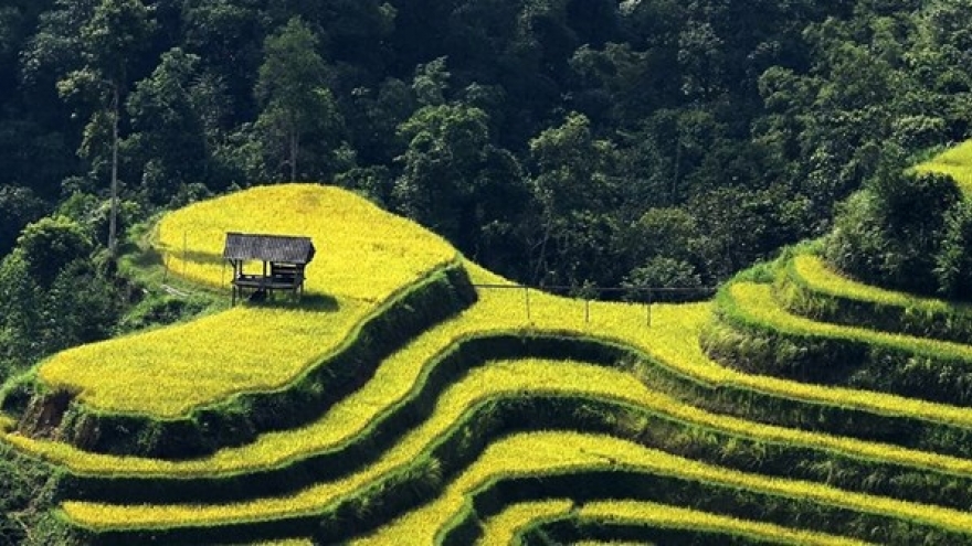 Cultural, tourism festival kicks off in Ha Giang