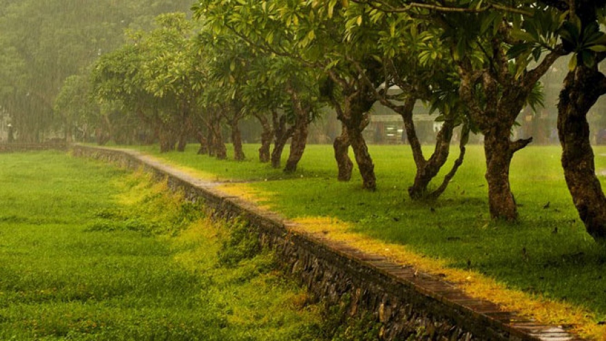 Dreamy and romantic Hue in rainy days