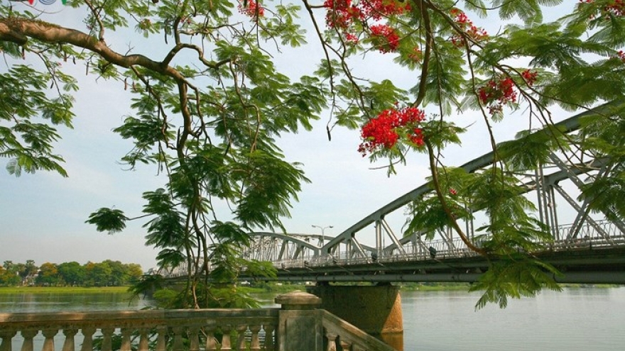 Colourful flowers brighten Hue streets