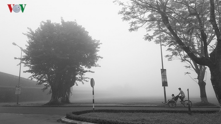 Regal Hue under a veil of fog
