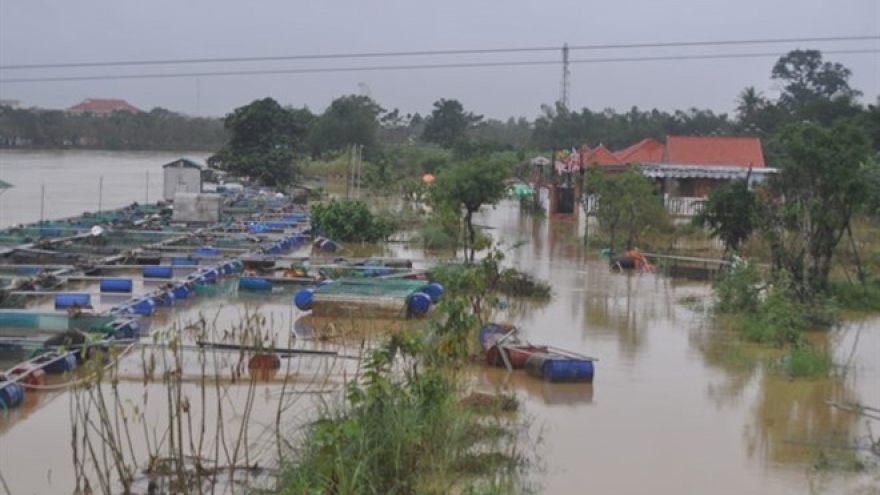 Hue hit by fifth flood in just a month