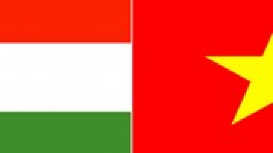 CPV wants to beef up ties with Hungarian Socialist Party